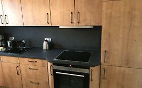 Zentrum Apartment Bad Schandau